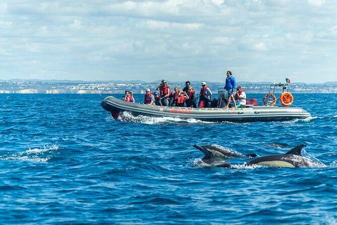 Dolphins & Caves on Rib Boat - Key things you’ll care about