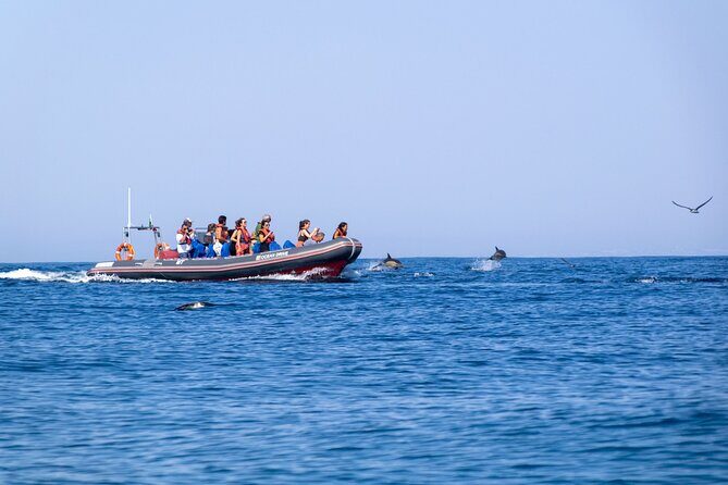 Dolphins & Caves on Rib Boat - Price and logistics: why $34.88 can make sense