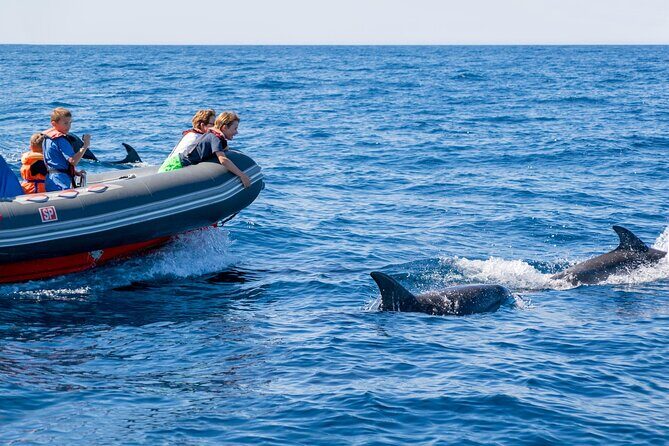 Dolphins & Caves on Rib Boat - The 2.5-hour flow: how the day usually moves (and why it matters)