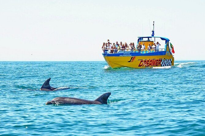 Dreamer Cave and Dolphins Boat Tour Ticket Albufeira - Key highlights worth knowing