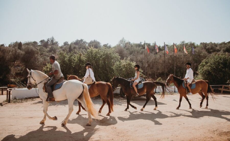 From Albufeira: Half-Day Hidden Gems & Horse Riding Tour - What to bring and how to stay comfortable in Algarve heat