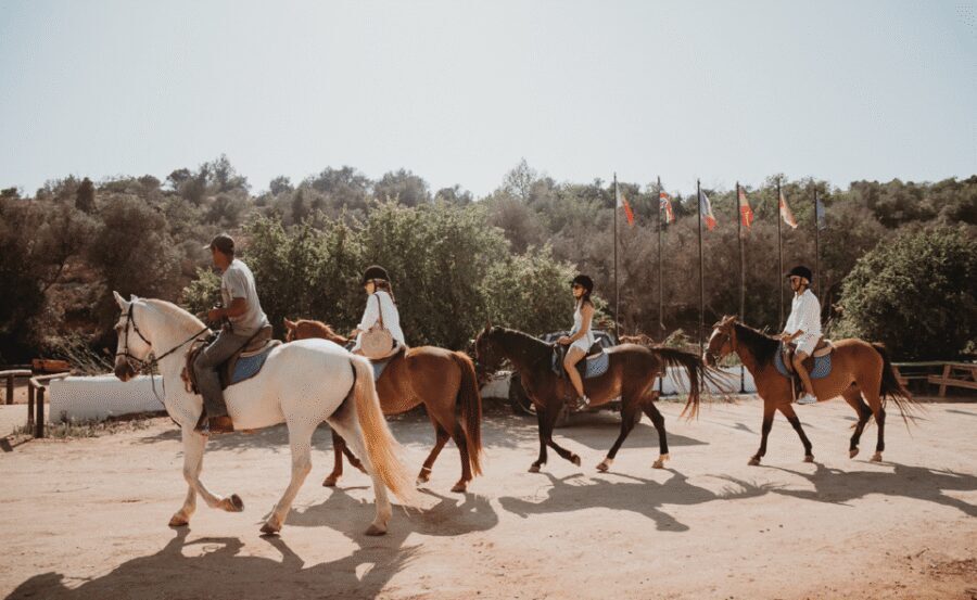 From Albufeira: Horse Riding Tour with Pickup - Pickup in Albufeira: Where Time Matters