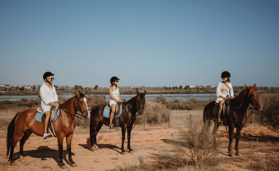 From Albufeira: Horse Riding Tour with Pickup - Price and Value: Is $78 for 100 Minutes a Good Deal?
