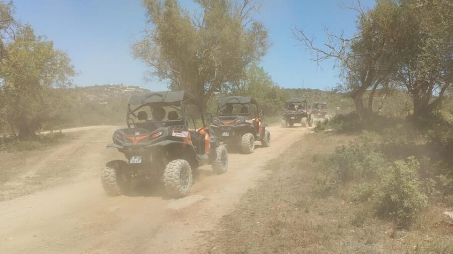 From Albufeira: Paderne Adventure Buggy Ride - How Good Are the Buggies and Guides?