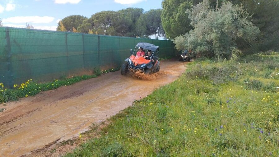 From Albufeira: Paderne Adventure Buggy Ride - Who Should Book This, and Who Should Skip It?