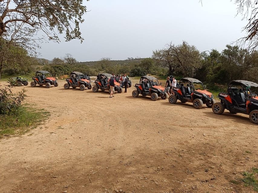 From Albufeira: Paderne Adventure Buggy Ride - The Ride Itself: Off-Road Thrills at a Slow-Speed Pace