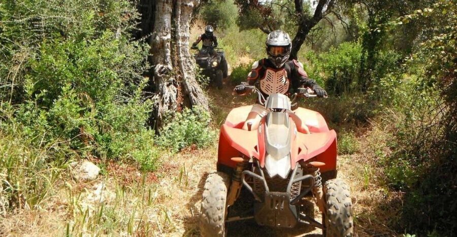 From Albufeira: Paderne Adventure Quad Ride - The 10-minute safety briefing that sets the tone