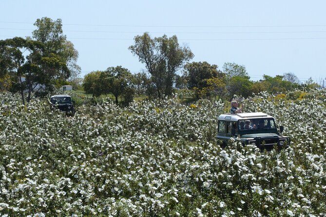 Half-Day Nature Safari in the Algarve - The Big Idea: Why This Half-Day 4x4 Safari Works