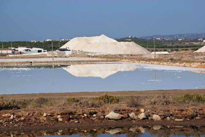 Half-Day Nature Safari in the Algarve - Quinta da Fornalha Organic Tasting Stop (About 20 Minutes)
