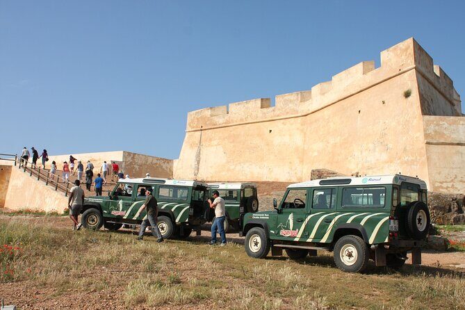 Half-Day Nature Safari in the Algarve - The Team Factor: Driving, Guiding, and Serving