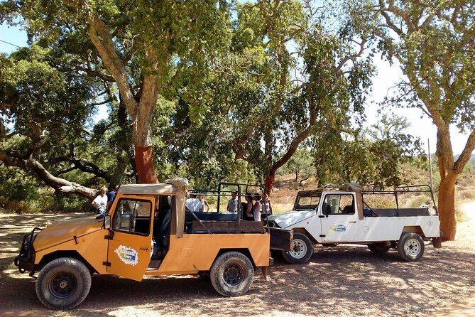 Half Day Safari Tour with Wine Tasting - Why This Half-Day Safari Fits the Algarve Rhythm