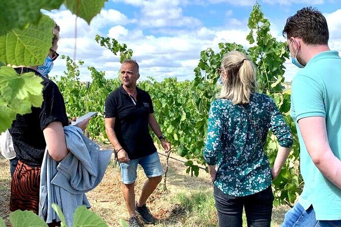 Half Day Safari Tour with Wine Tasting - What You’ll Eat and How Much Wine You’ll Actually Taste
