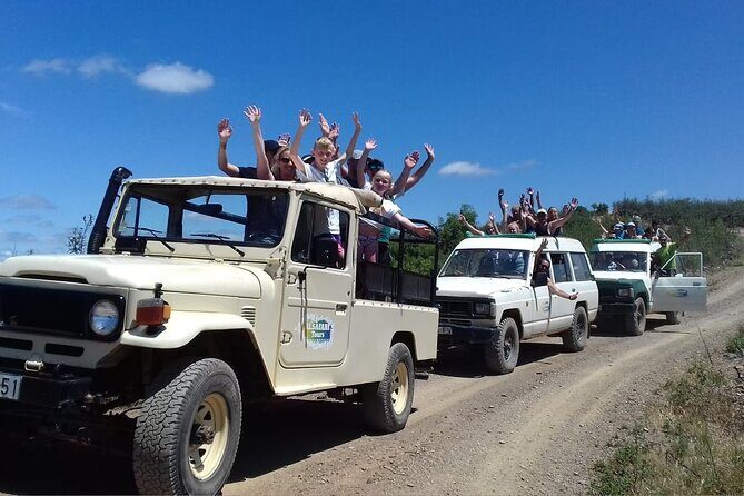 Half Day Safari Tour with Wine Tasting - Comfort Tips That Make the Half-Day Feel Easy