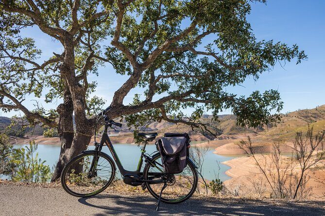 Half-Day Small-Group E-Bike Tour of Rural Algarve with Lunch - Silves Hills on an E-Bike: The Best Kind of Half-Day Workout