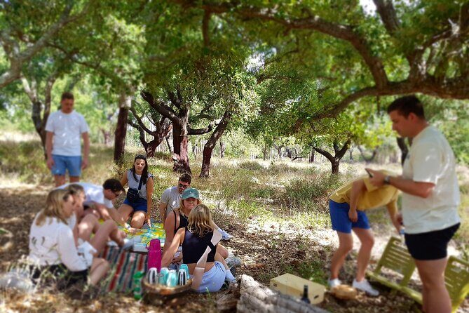 Half-Day Small-Group E-Bike Tour of Rural Algarve with Lunch - Meeting at Gato Preto de Silves: A Calm Start (and a Relaxed Finish)