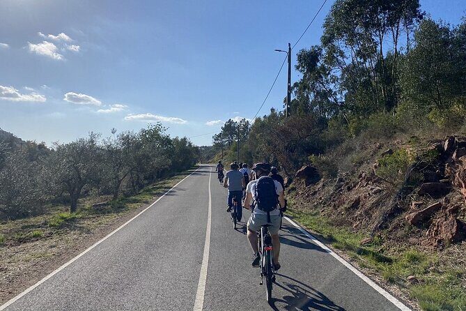 Half-Day Small-Group E-Bike Tour of Rural Algarve with Lunch - Who This Tour Suits Best in Rural Algarve