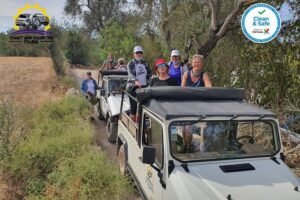 Half Day Tour with Jeep Safari in the Algarve Mountains - Leaving Albufeira: Old Irrigation, Fruit Plantations, and Algarvian Homes