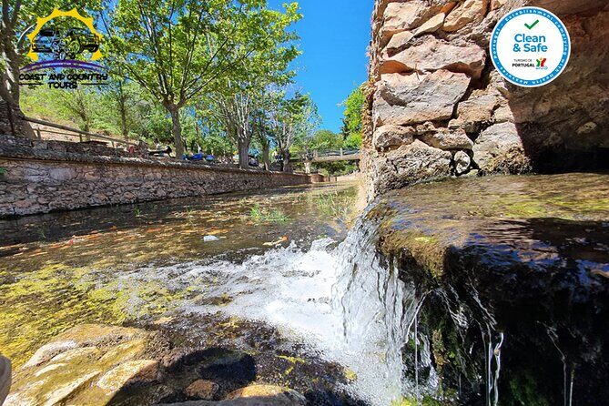 Half Day Tour with Jeep Safari in the Algarve Mountains - Quinta Do Goji Farm Stop: Honey, Medronho Water, and Farm Animals