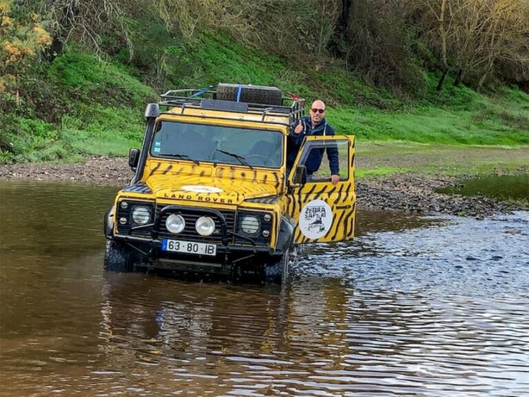 Jeep Safari Tour - Full Day - What happens once you’re in the Jeep: viewpoint stops and a real guide