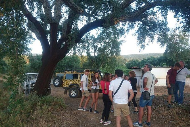 Jeep Safari Tour - Full Day - Pricing and Value: Is $68.96 a Good Deal for 7 Hours?
