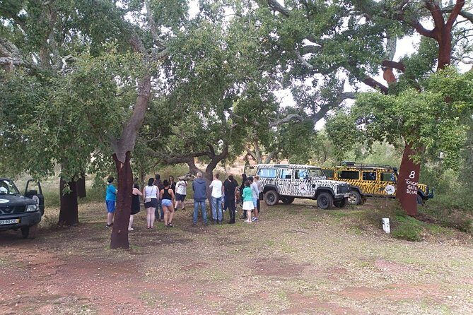 Jeep Safari Tour - Half Day - Guide quality can make or break the day (and why Carla comes up)