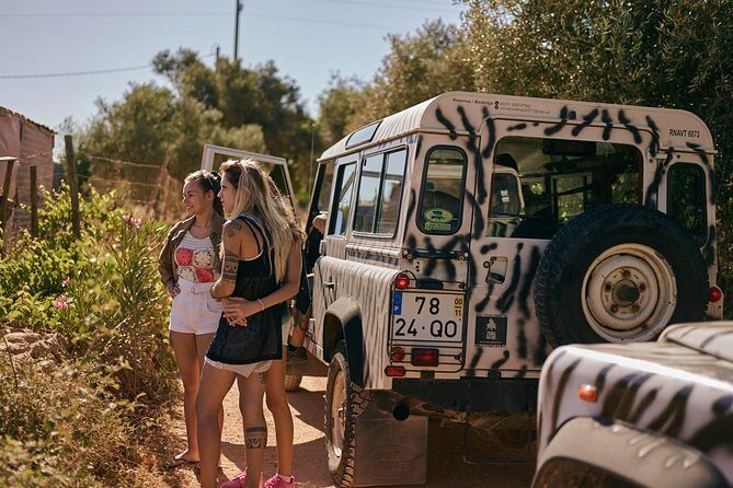 Jeep Safari Tour - Half Day - Pickup, timing, and what the price covers