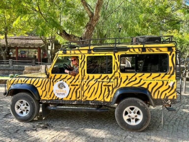 Jeep Safari Tours- Half Day - Paderne Castle and Church Walk: Why This Stop Feels More Than Scenic