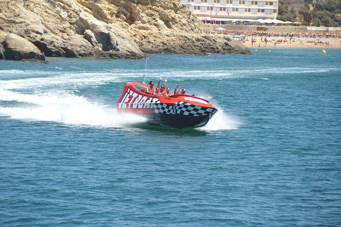 Jet Boat Caves and Emotion - Dolphin-Spotting: Why This Route Gives You a Better Shot