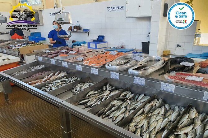 Minivan tour along the coast to Benagil and Carvoeiro from Albufeira - Price and Logistics: Is $72.09 Good Value?