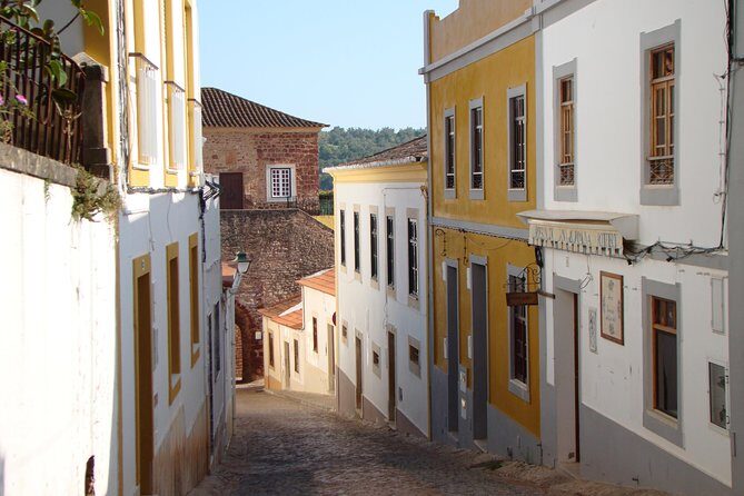 Organic Orange Picking & Jam Making with Farm-to-Table Lunch - Logistics That Matter: Meeting Near Silves, Start at 10:00, Private Group