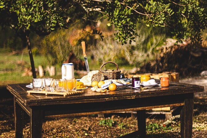 Organic Orange Picking & Jam Making with Farm-to-Table Lunch - Who This Tour Fits Best (and Who Might Want Something Else)