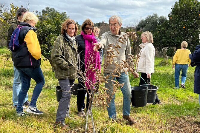 Organic Orange Picking & Jam Making with Farm-to-Table Lunch - Odelouca Stop 2: Orange Picking and Making Marmalade You Actually Made