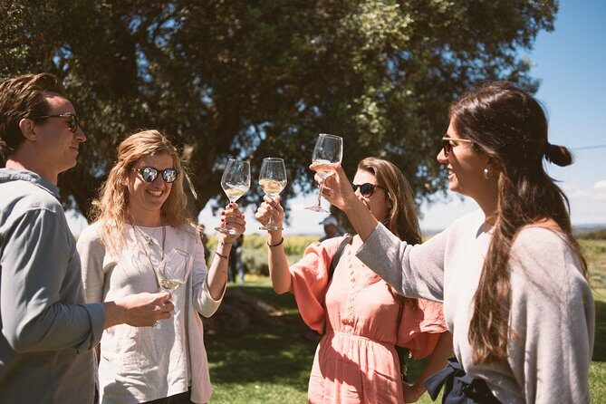 Premium Vineyard Tour & Tasting - What makes this tour worth your time