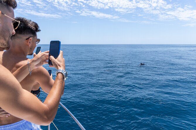 Private Coastline and Dolphins Yacht Cruise from Albufeira - Private 3-Hour Yacht Cruise From Marina de Albufeira