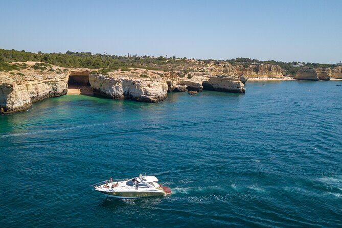 Private Coastline and Dolphins Yacht Cruise from Albufeira - Dolphins on Your Timeline: What to Expect Offshore