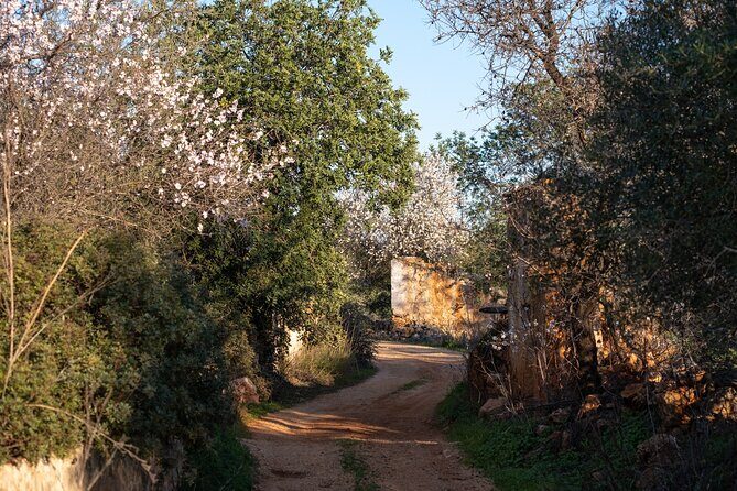 Private escape in the backcountry - Albufeira’s hinterland, not the usual beach loop