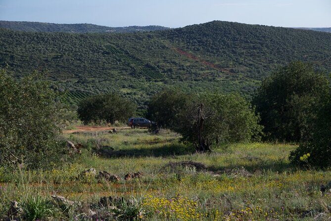 Private escape in the backcountry - Paderne: village strolls, orange fields, and wild-hill tracks