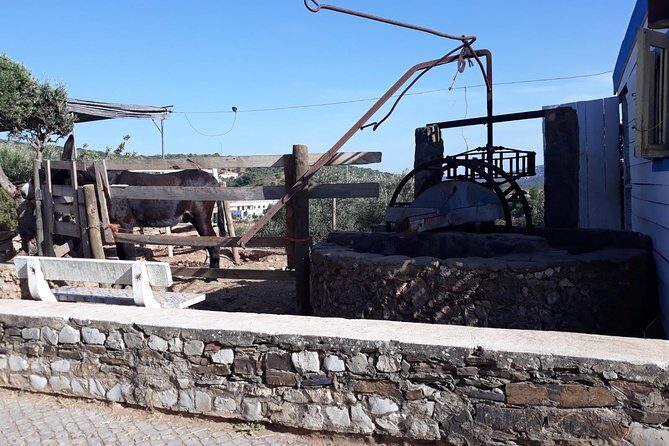 Private-Guided Tuk Tuk Country Side Tour - Stop 2: Paderne village life and the Melosa tasting