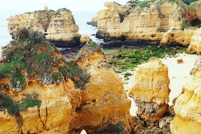Private Guided Tuk-Tuk Tour with Pick-Up and Drop-Off of Albufeira - The Tuk-Tuk Experience: Photo-Stop Rhythm and Comfort Reality