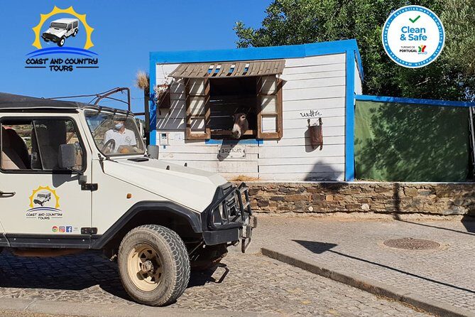 Private Jeep Safari Half-Day Tour - 4 hours in a convertible Jeep: comfort, timing, and what to expect