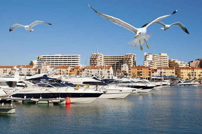 Quarteira Town & Gypsy Market Tour with Beach Bliss - Key points to know before you go
