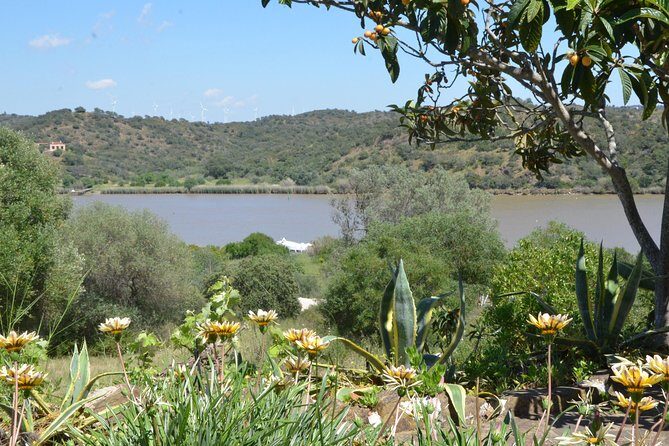 Rio Guadiana River Cruise - Drinks and the bar: fun, but plan for extra cost