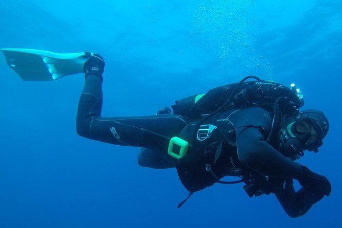 Scuba Diving Albufeira-Double Dive Trip - Key takeaways before you go