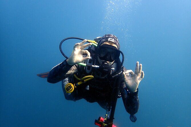 Scuba Diving Albufeira-Double Dive Trip - What you may see: marine life, depth limits, and the cool-water reality