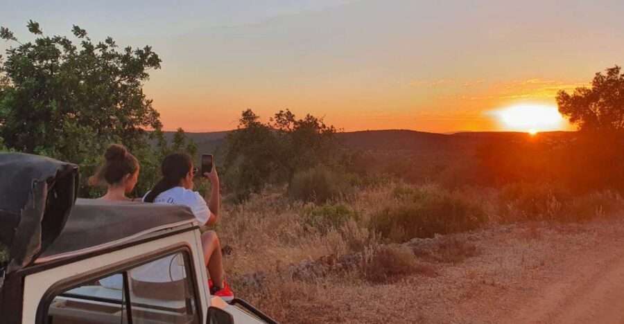 Sunset Safari in the Algarve Mountains - Key things to know before you go