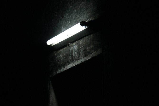 Survival Instinct Escape Game - Key Things I’d Bet You’ll Care About