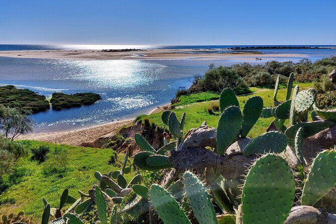 The Essential Algarve Relocation Tour! - Price and value: how $288.99 fits a 7-hour decision-making day