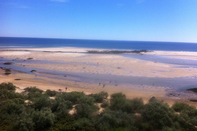 Tour in Paradise: Ria Formosa - Ria Formosa Natural Reserve: boat ride, islands, and sand bars