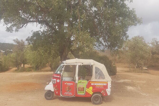 Tuk tuk tour- the best way to see coast and country side - Price and value for up to 3 people