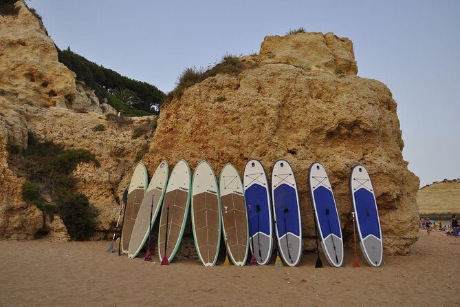 Unique Stand Up Paddle Experience! - Who This Tour Is Perfect For (and Who Should Think Twice)